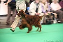 Crufts2011 580